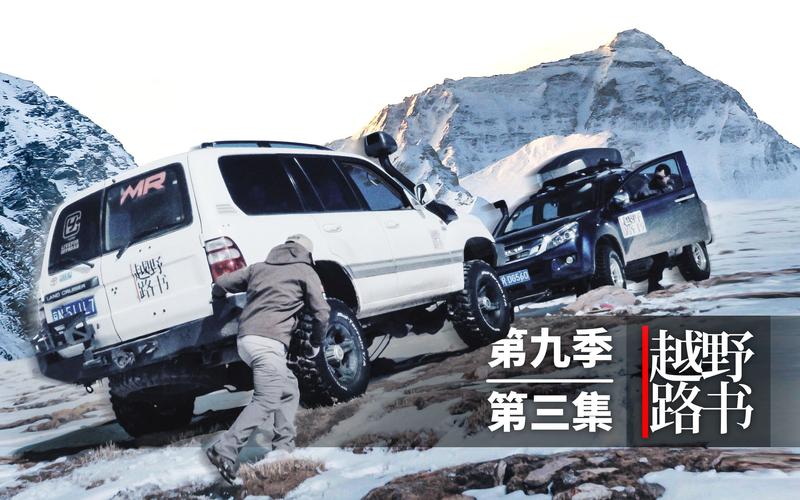 沈阳汽车信息咨询：引领行业风向标